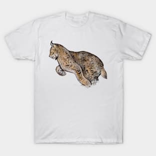 Beautiful cat - Lynx T-Shirt